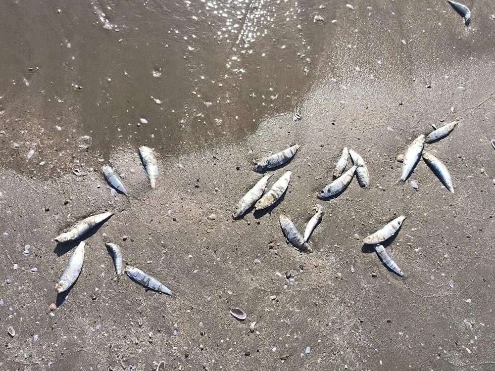 394389161_884885443364068_8940902556397586139_n