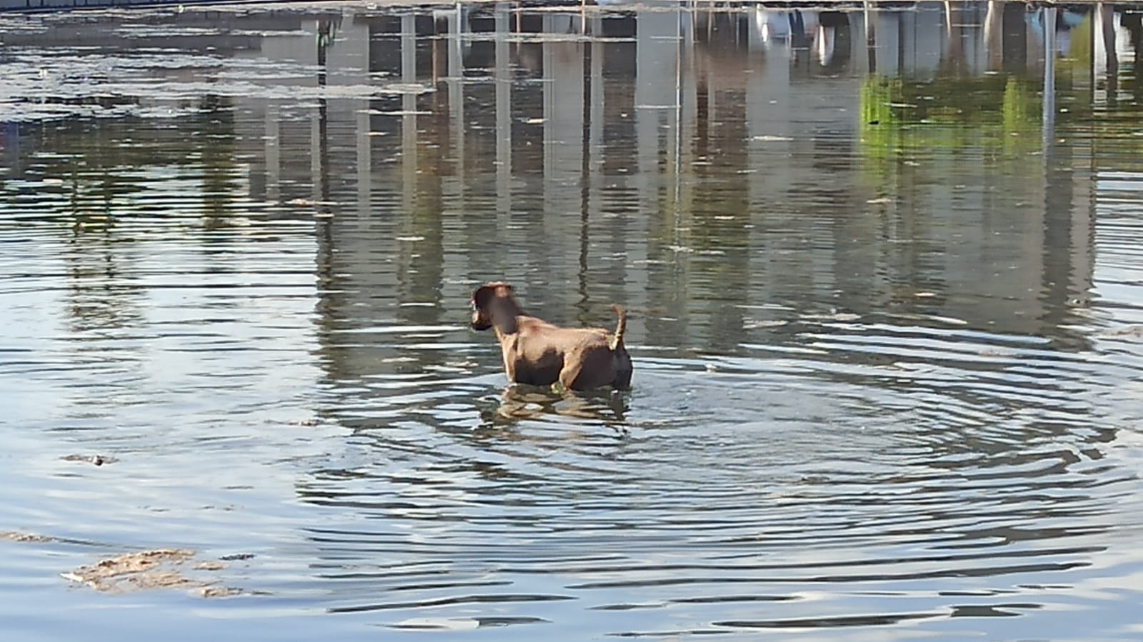 7f3ec835-3d60-4b6c-8438-04a43dea2ff5