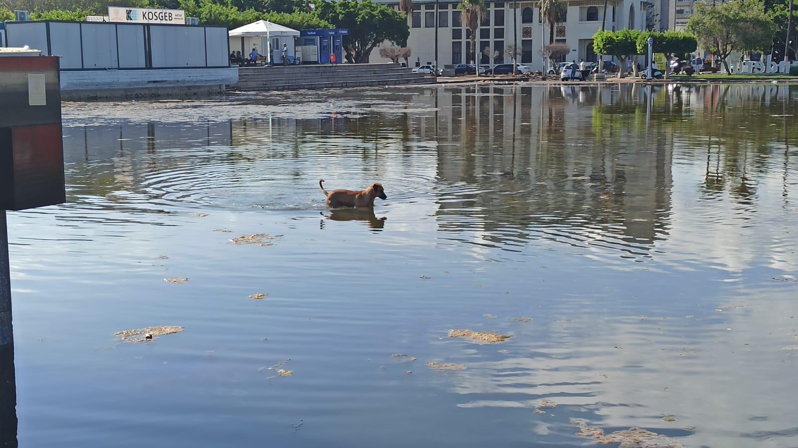 eaa7b78a-0e49-48a9-a953-9cbd619663ea