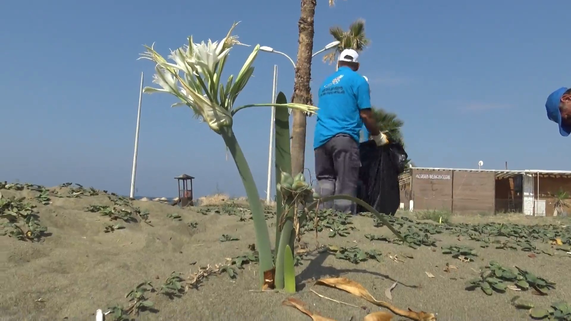 WhatsApp Video 2023-10-13 at 12.38.04.mp4_snapshot_02.16.666