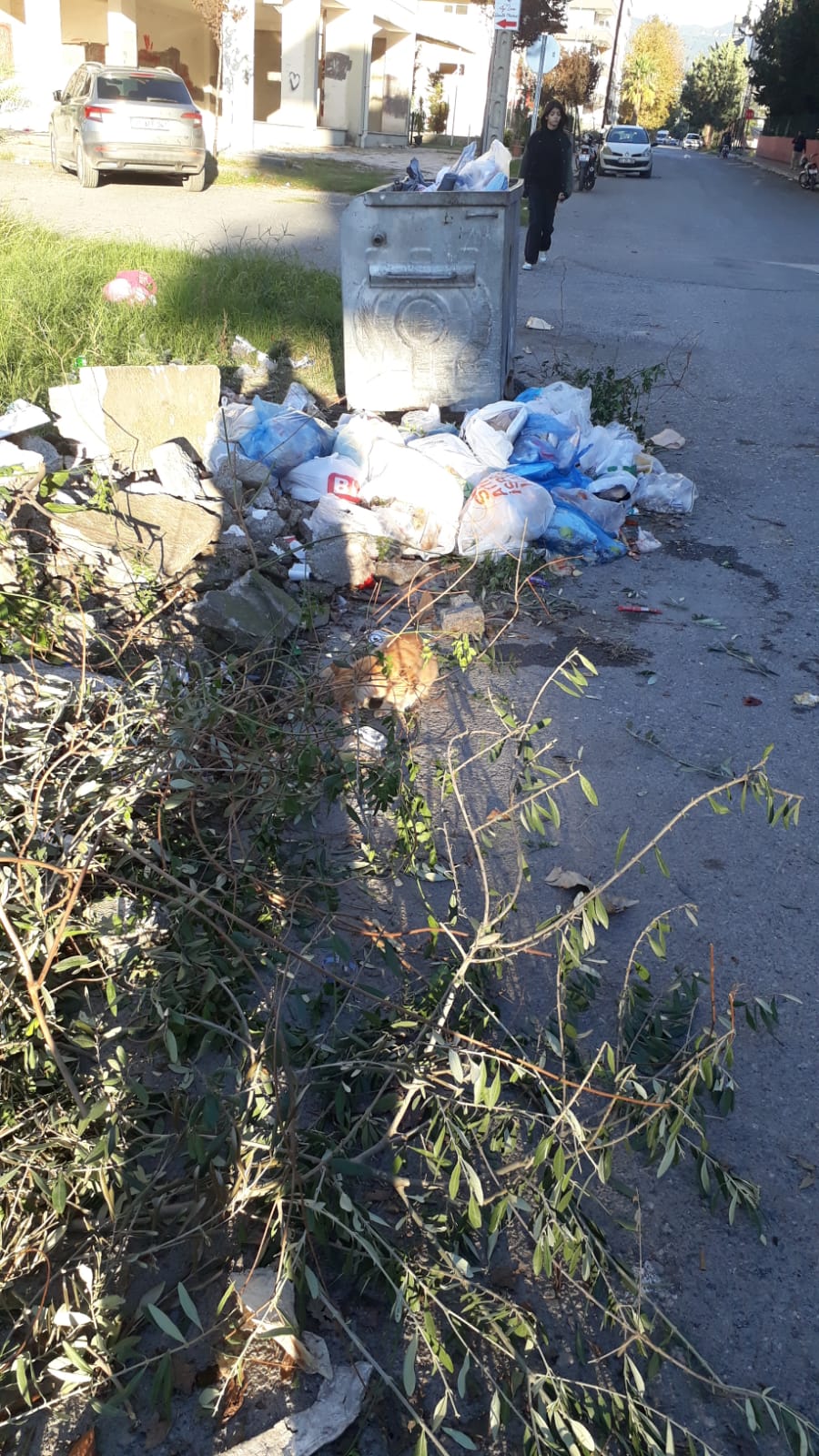 618546c3-fd49-4d75-8f3a-cb6743e0330e