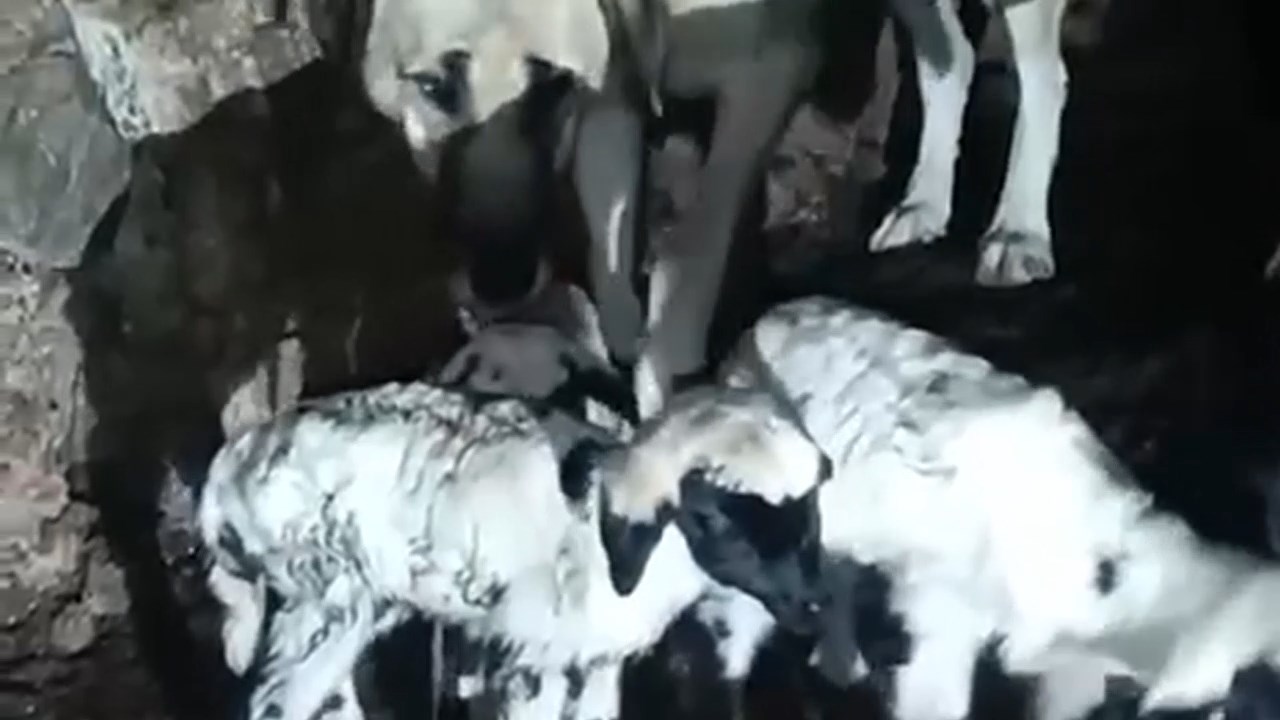 kuzuya-annelik-yapiyor.mp4_snapshot_00.57.978