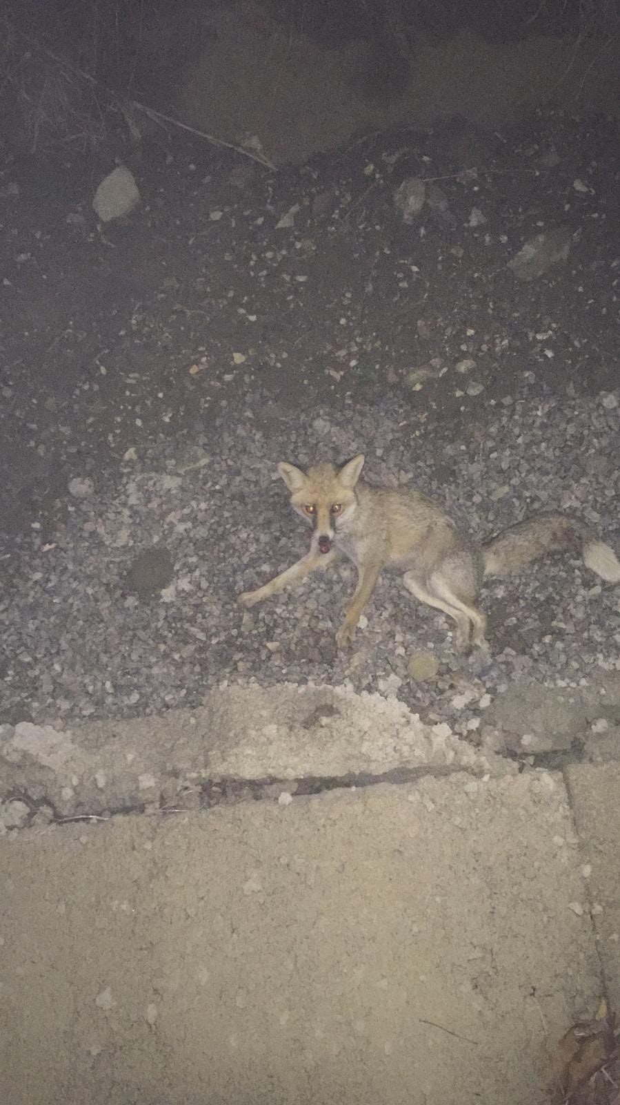 131625559_10225140213158523_7724591533254330318_n