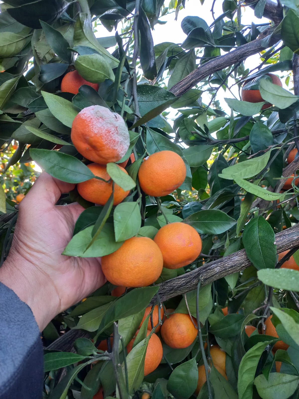 b5c382f5-e09e-4b5a-95d5-34b8a50d27b8