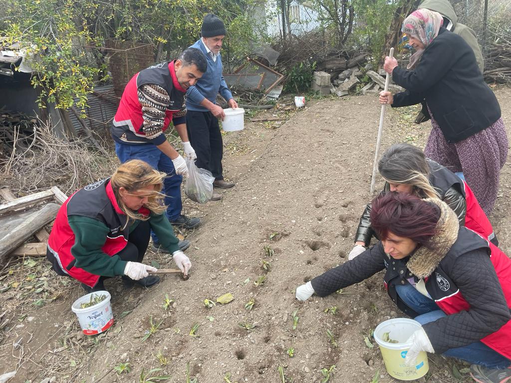 salep-ekim-arastirmasi (1)