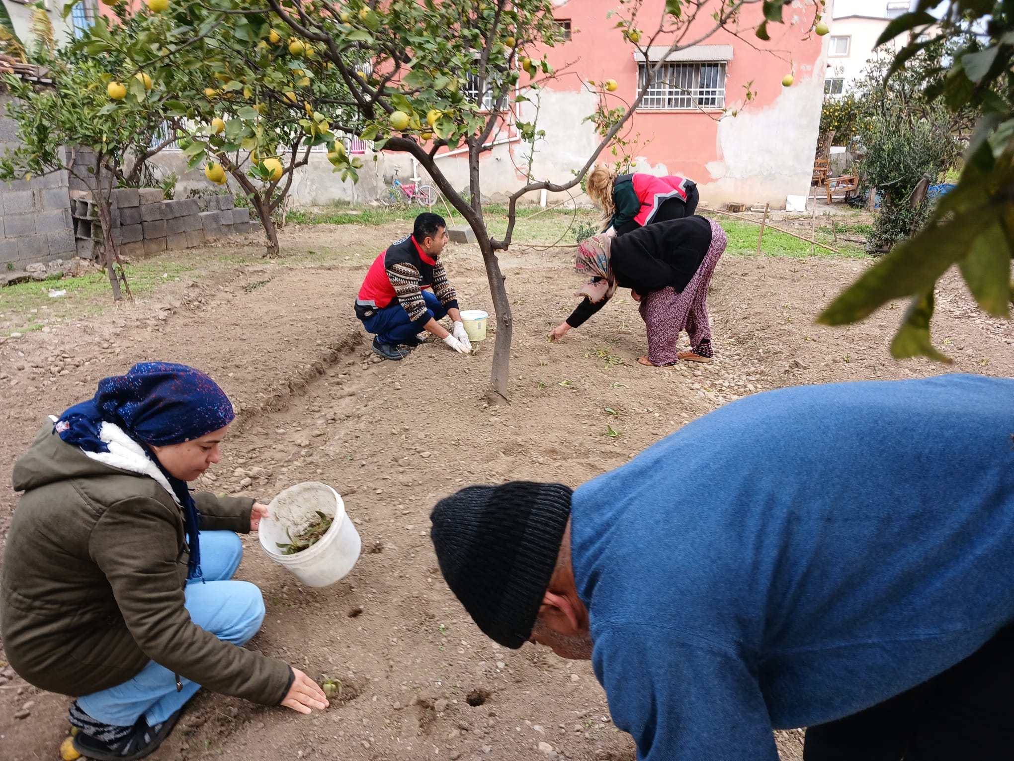 salep-ekim-arastirmasi (3)