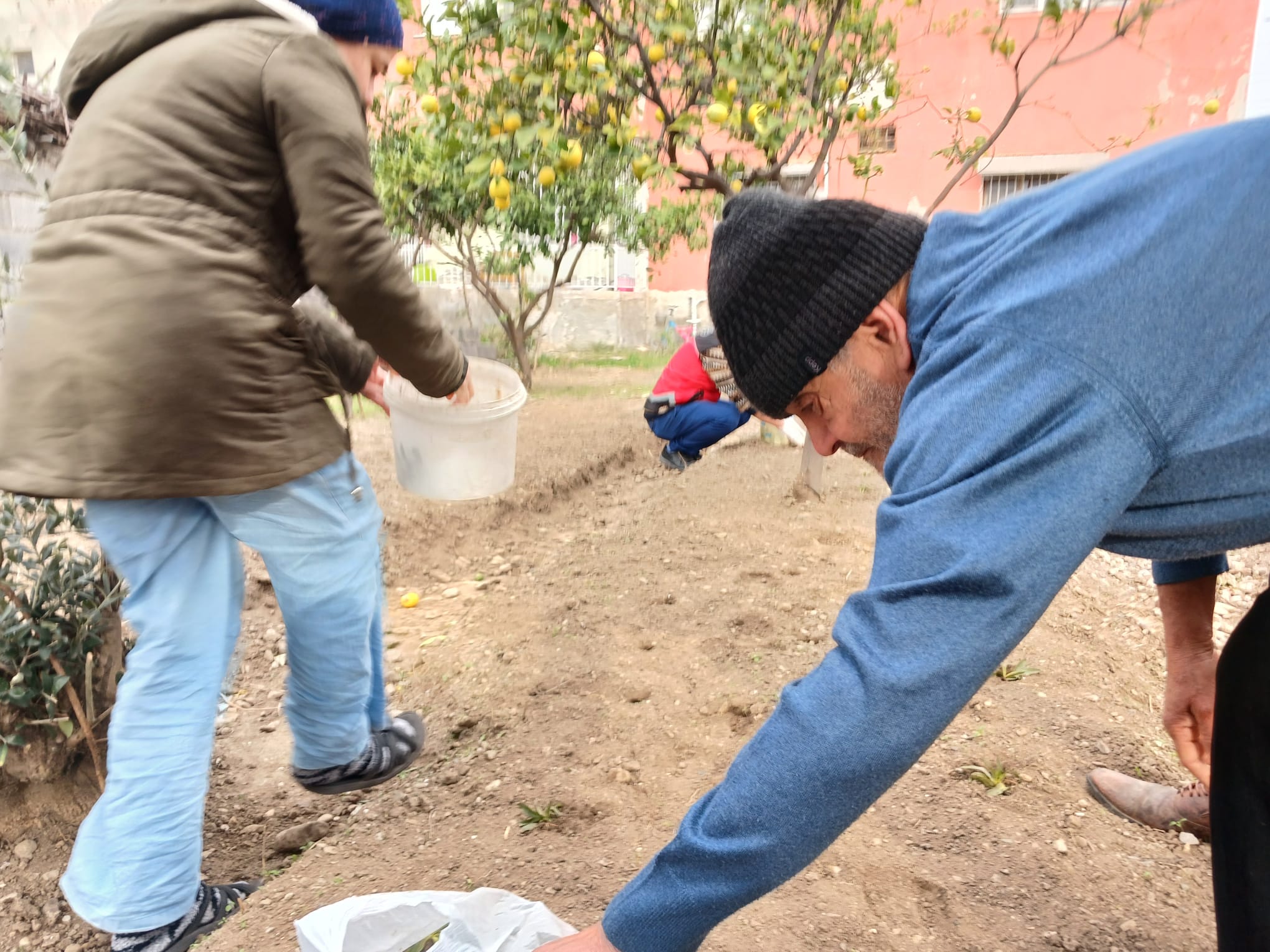 salep-ekim-arastirmasi (4)