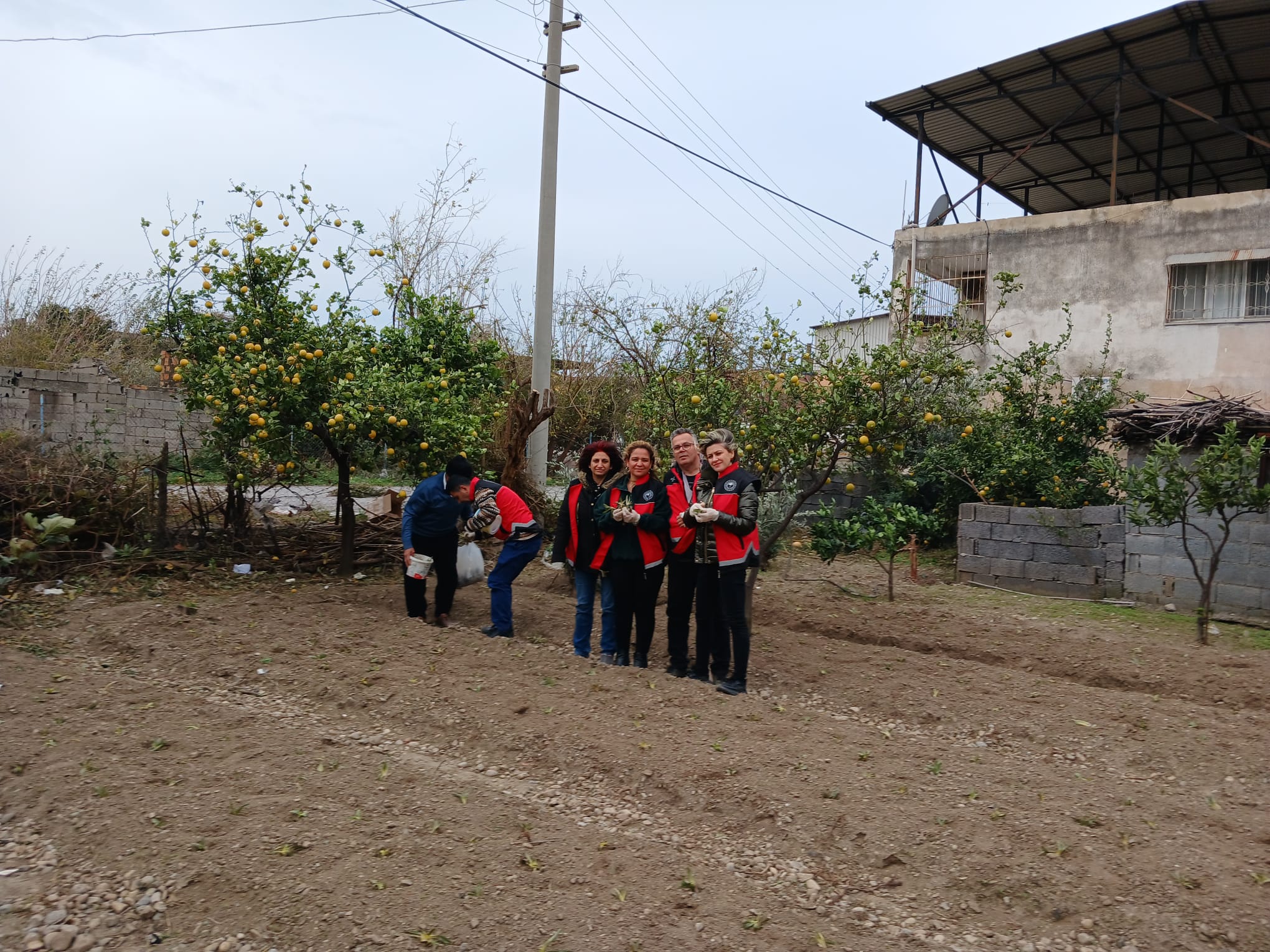 salep-ekim-arastirmasi (5)