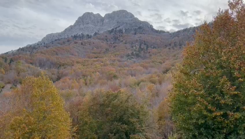 vlcsnap-2023-12-02-13h07m19s598