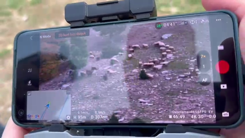 vlcsnap-2023-12-02-13h07m53s153