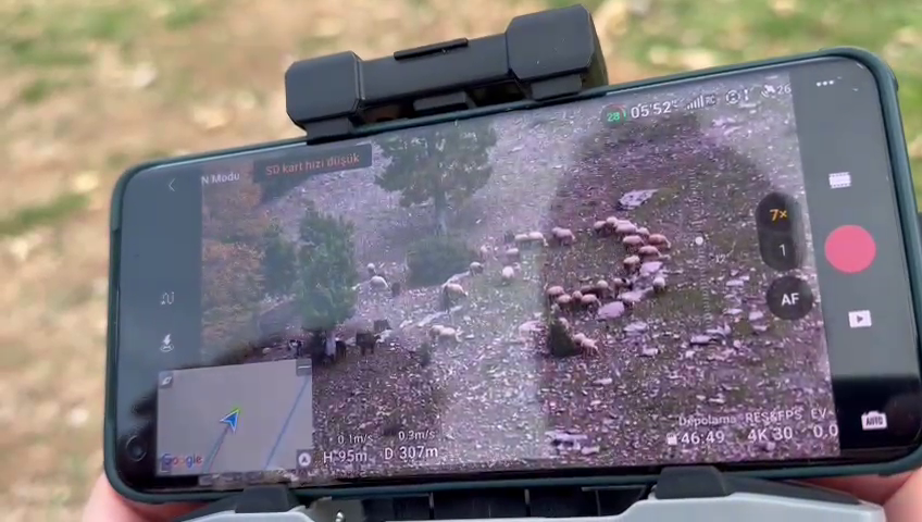 vlcsnap-2023-12-02-13h08m02s791