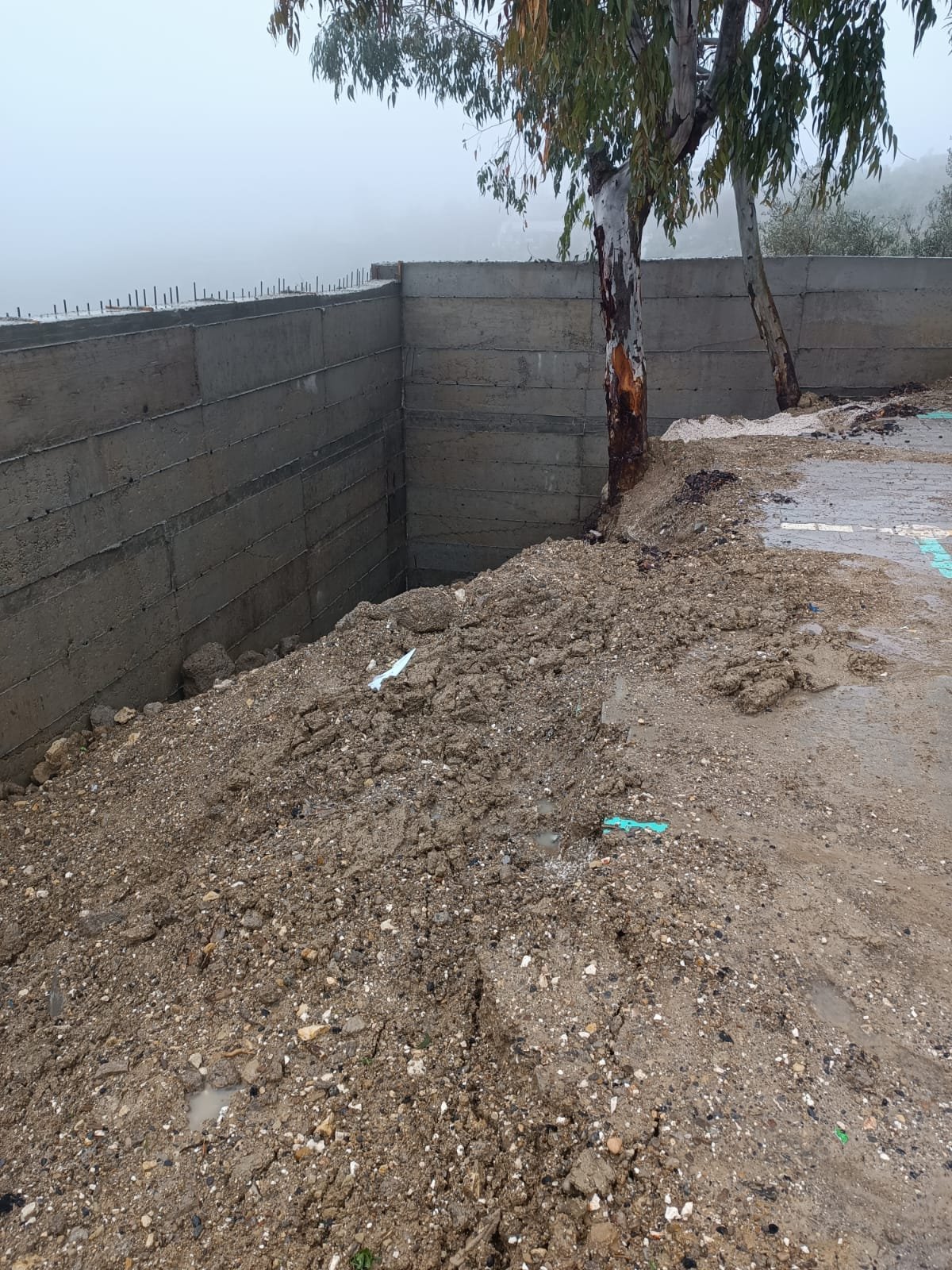 059df137-0f82-4eb3-bd6b-2892de36e346