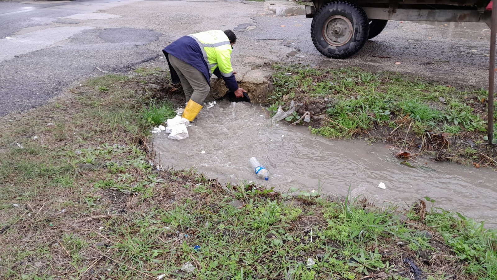 655f2b8d-3b6d-409f-b36f-a7923c95e0ff