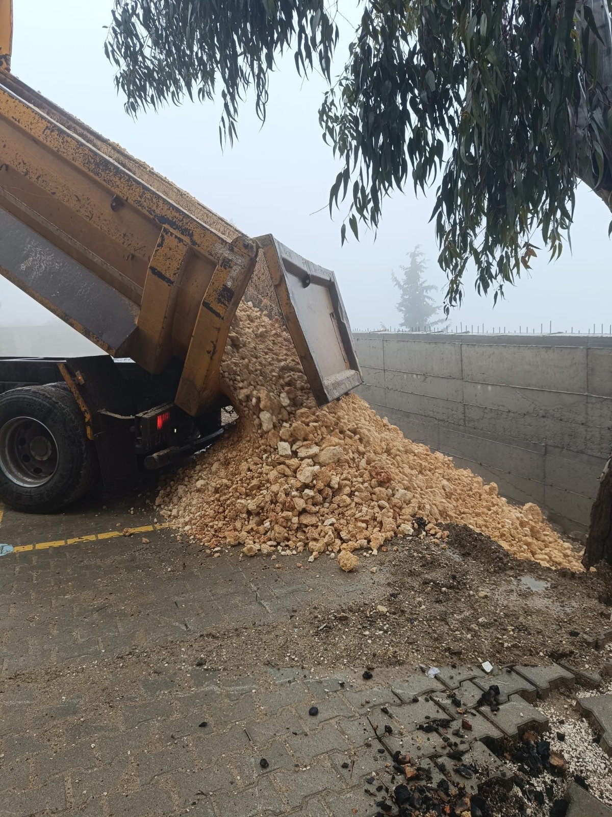 9edae5c3-cc5e-46fc-9d9b-d265f804c19b