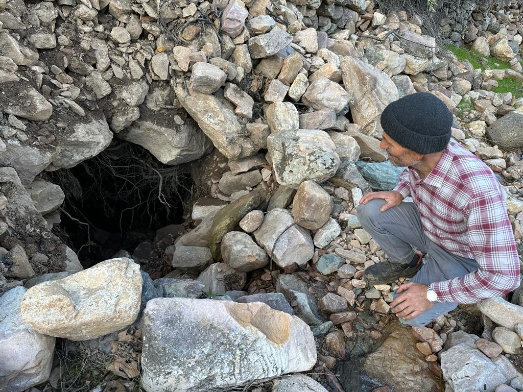 ad89e943-1715-4831-a097-e71865dbb5bf