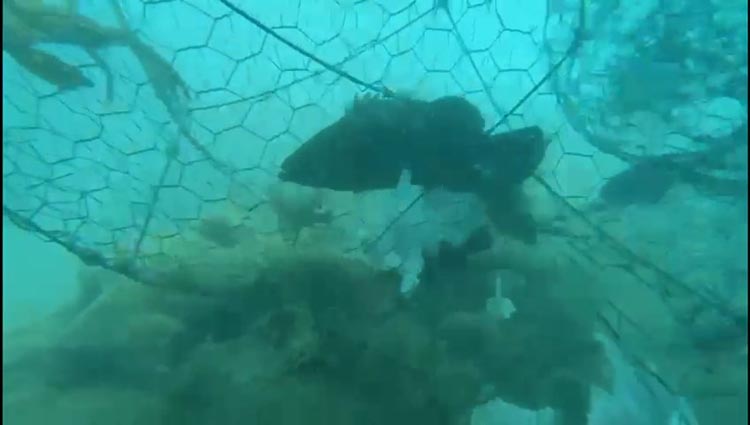 sahilguvenlik-denetim-3