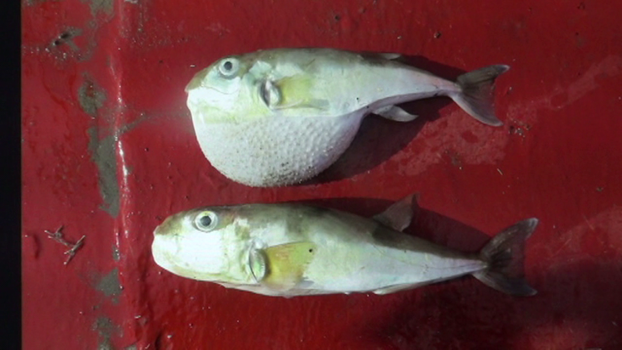 vlcsnap-2024-01-03-18h40m32s398