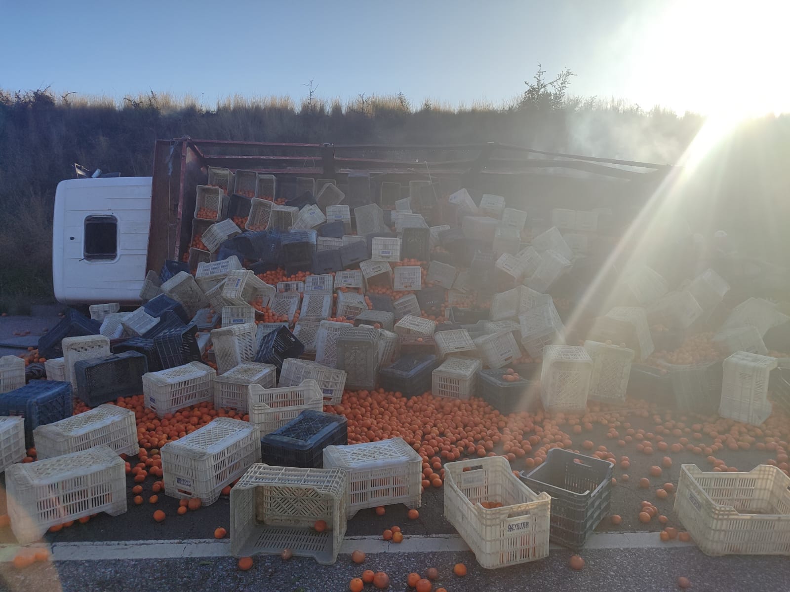 423312708 10228504622979361 3059957547008945079 N