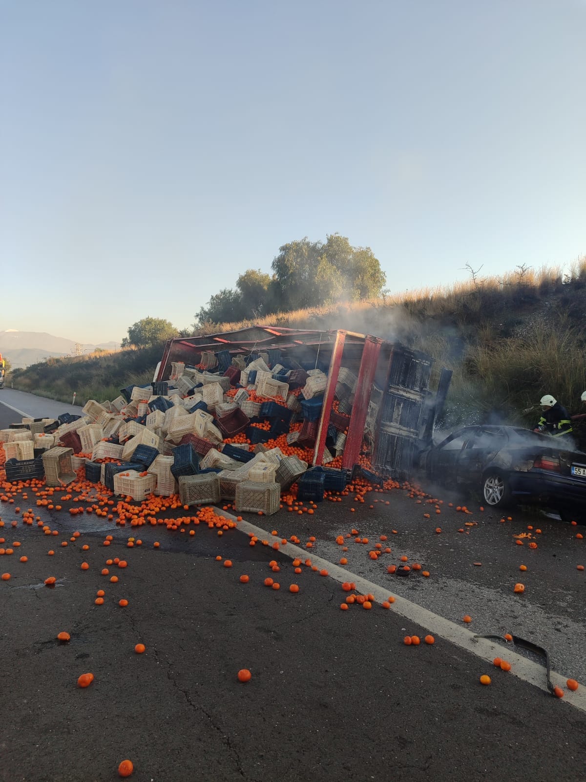 427932563 10228504624259393 3484739726679033934 N