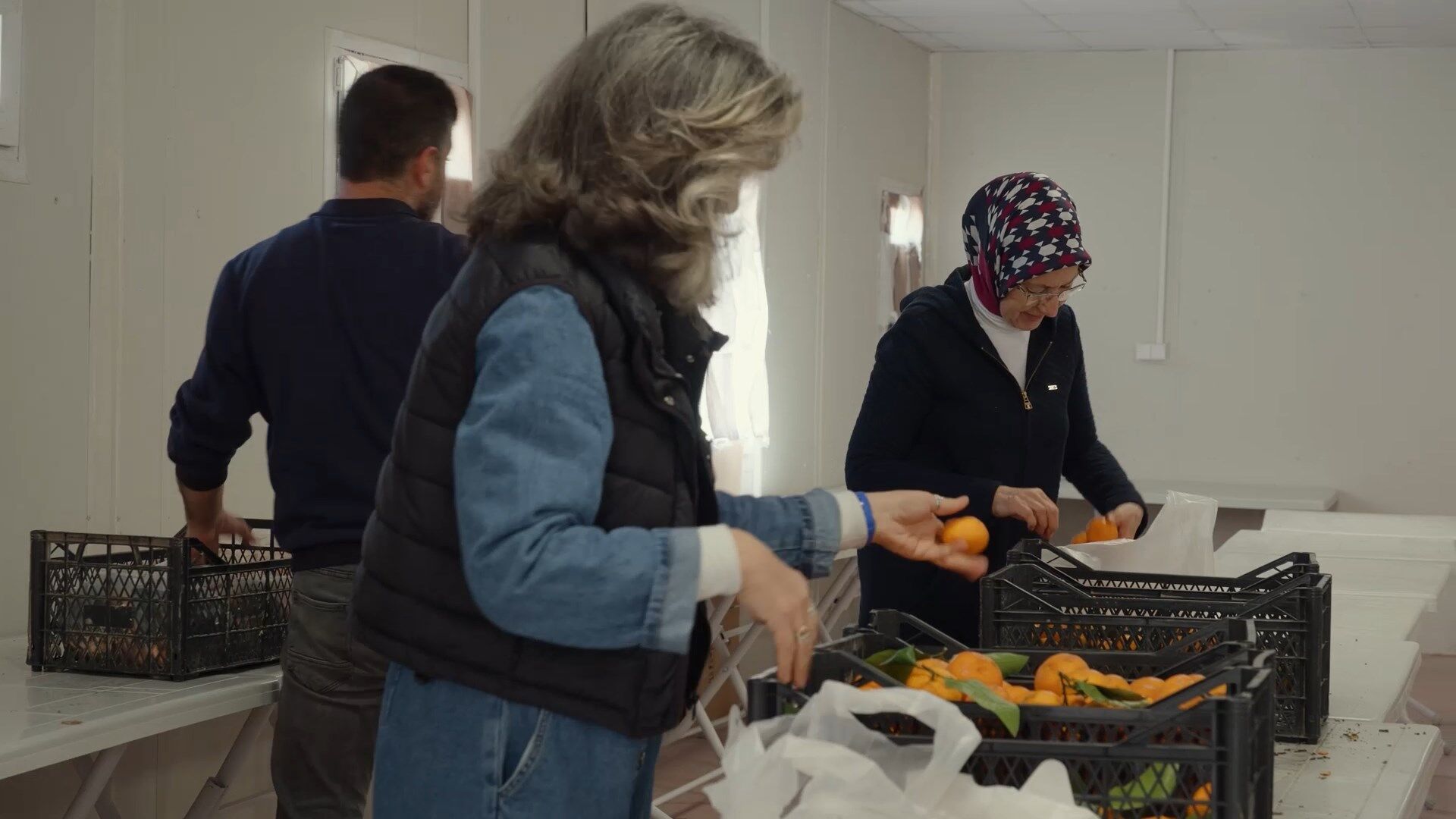 Gonul Mutfagı Narenciye (6)