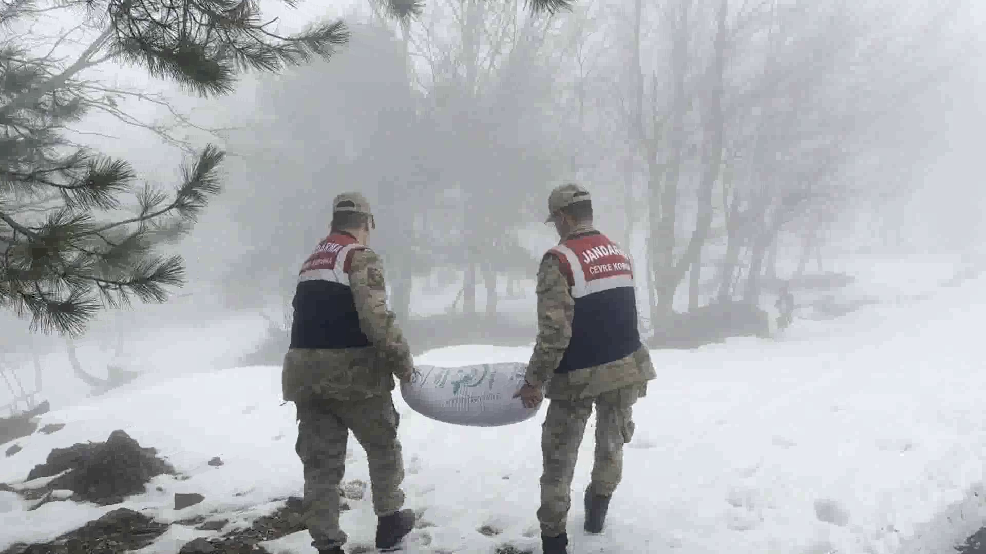 Vlcsnap 2024 02 14 11H02M58S861