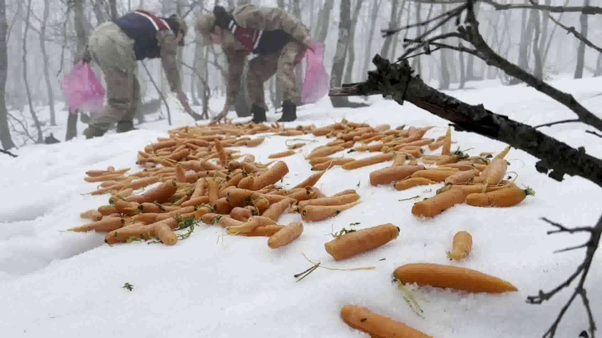 Vlcsnap 2024 02 14 11H03M58S116