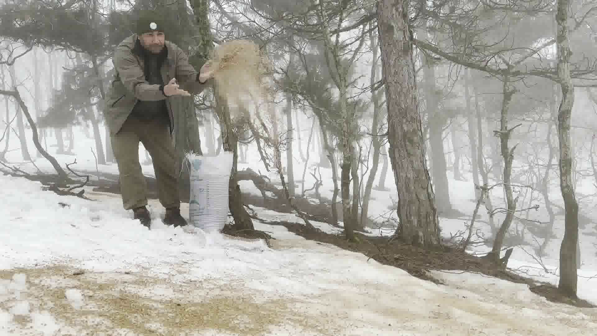 Vlcsnap 2024 02 14 11H04M07S393