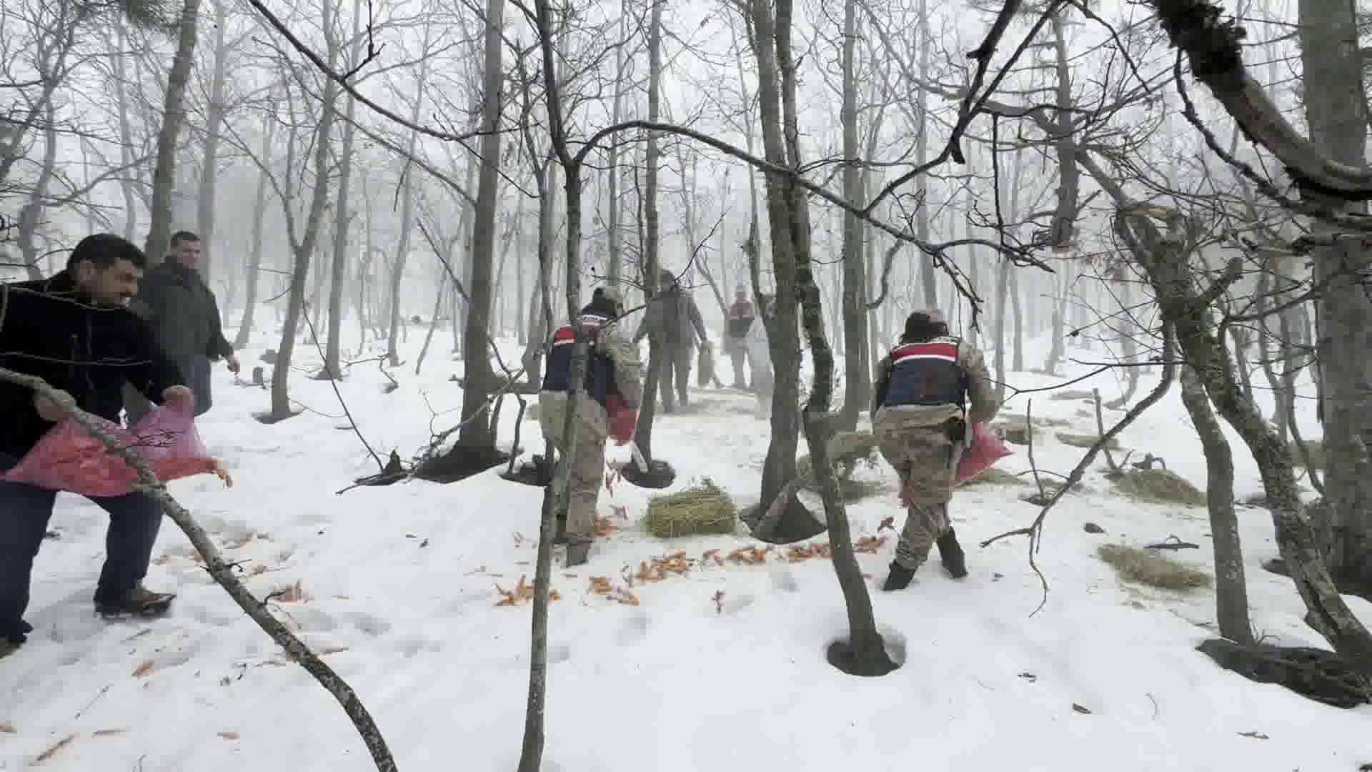 Vlcsnap 2024 02 14 11H04M26S421