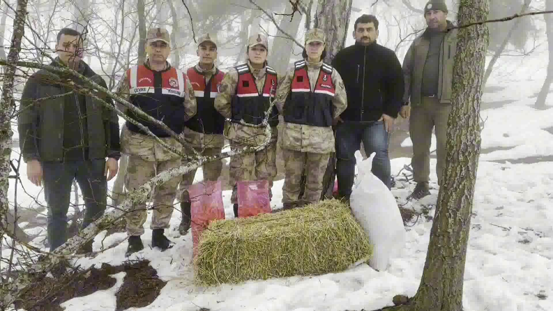 Vlcsnap 2024 02 14 11H04M42S136