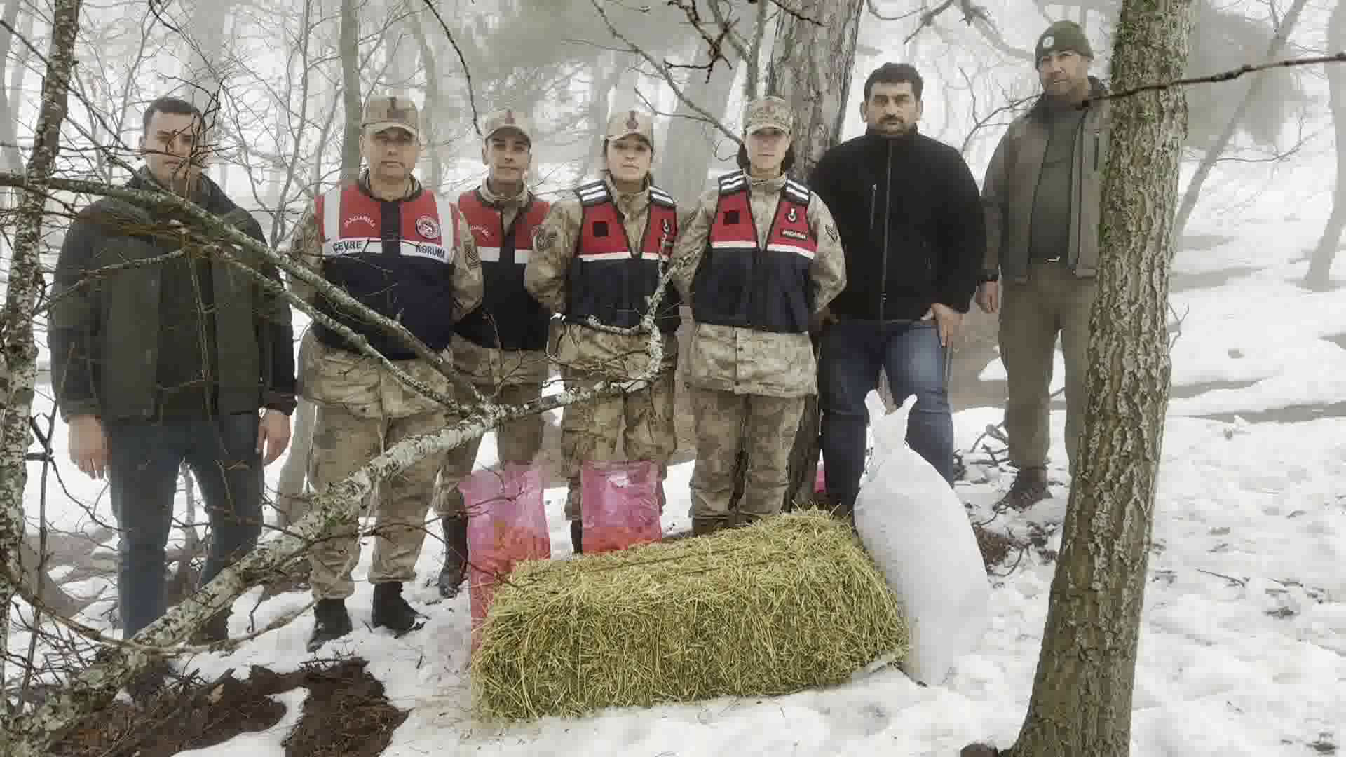 Vlcsnap 2024 02 14 11H04M50S361