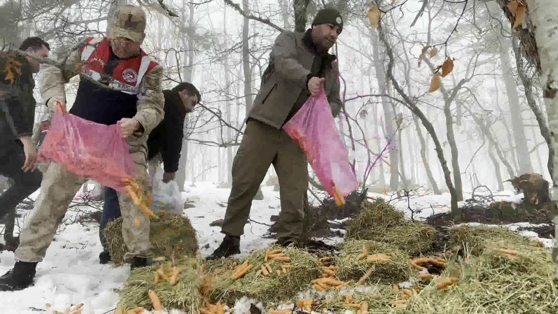 Vlcsnap 2024 02 14 11H04M58S639