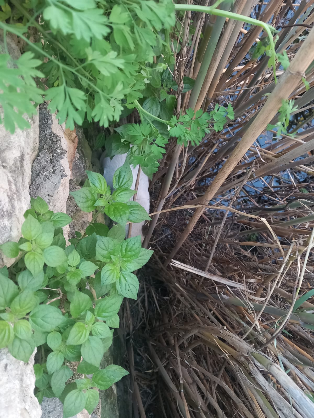 165Fbd73 554B 44D4 A957 227D4F4Ee05F