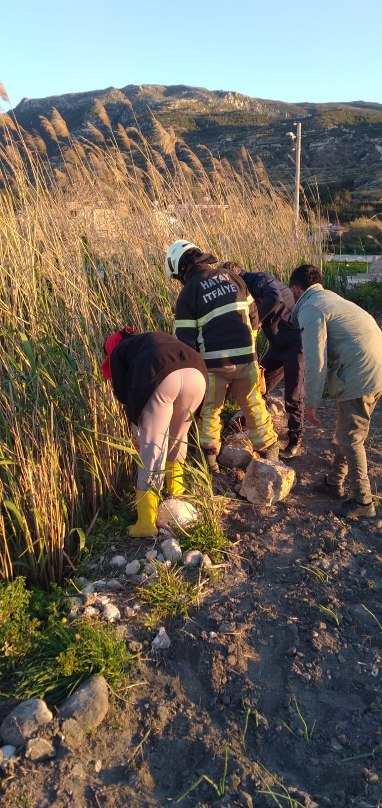 184B352C D7A6 4Ea2 96B6 8811C2Fdd4D5