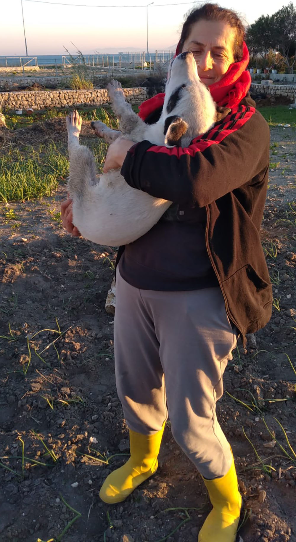 1Aa1687C B806 4B5F B69E 0F4Dab5Ab99D