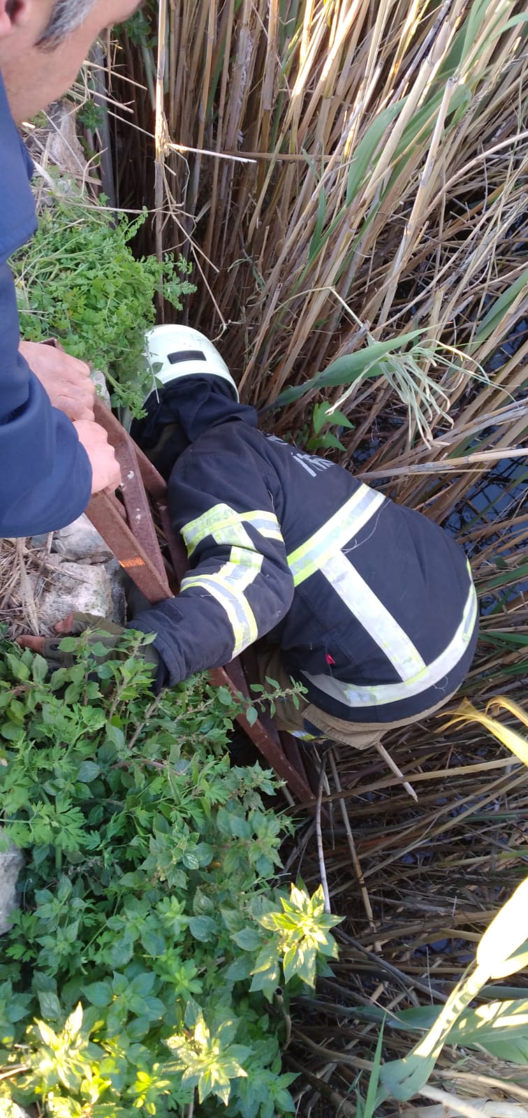 4Aee9B46 7Aba 47B7 B7F3 68466F453924