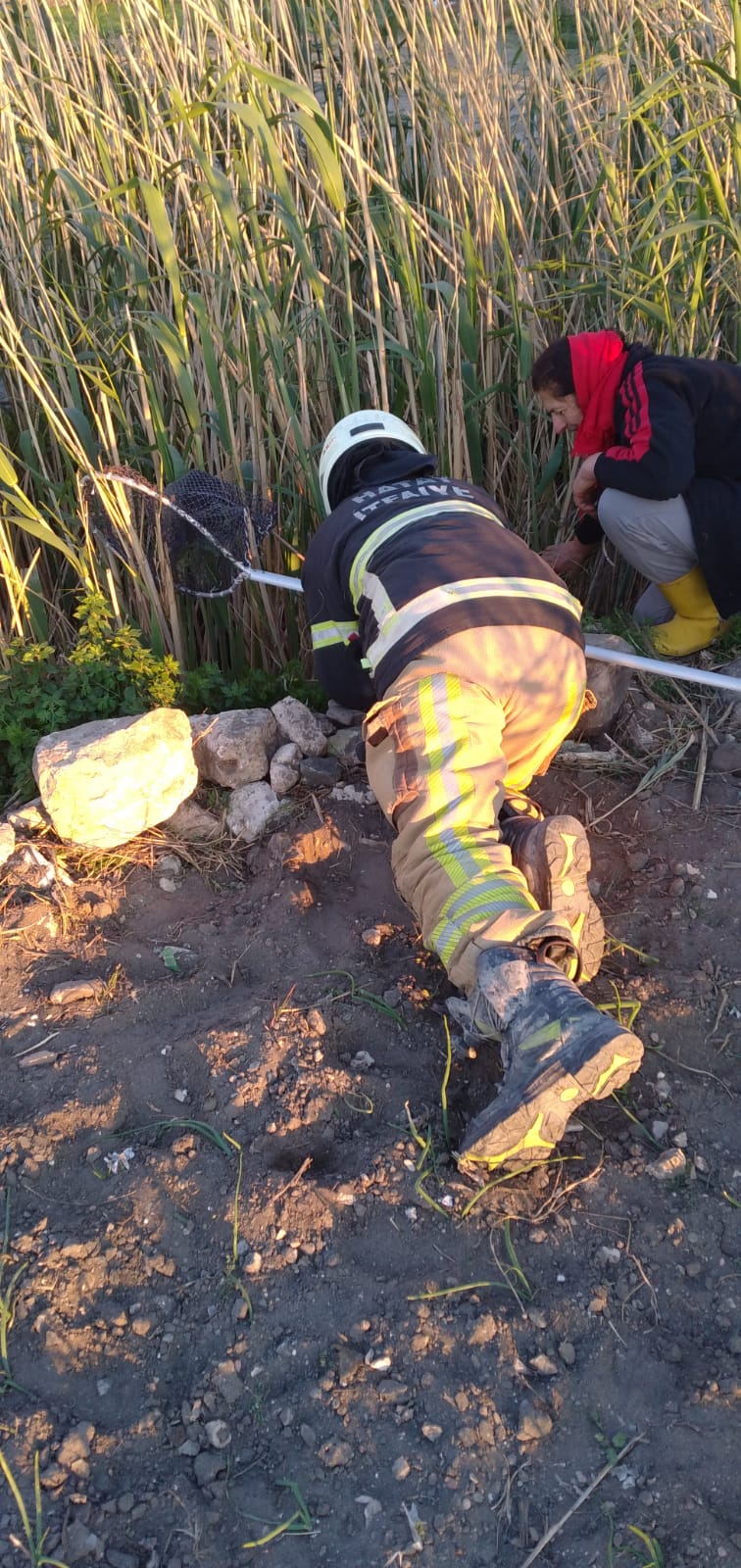 De33E8B0 69F2 4312 B1Ca 50491Df5Ddc7