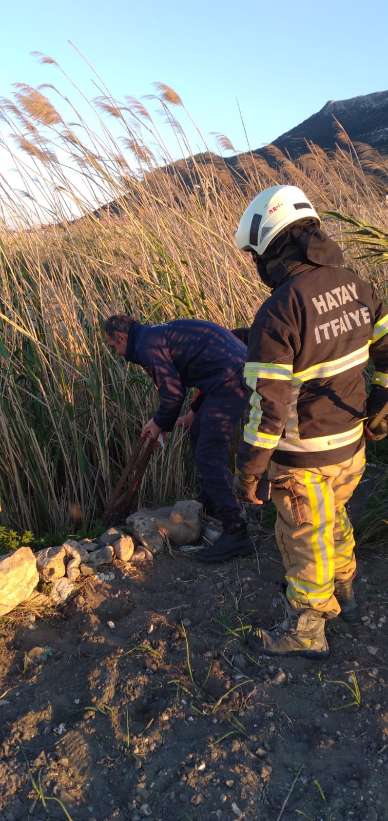 F1C91D63 3Ec1 441D 8661 6A15Defa2Cf8