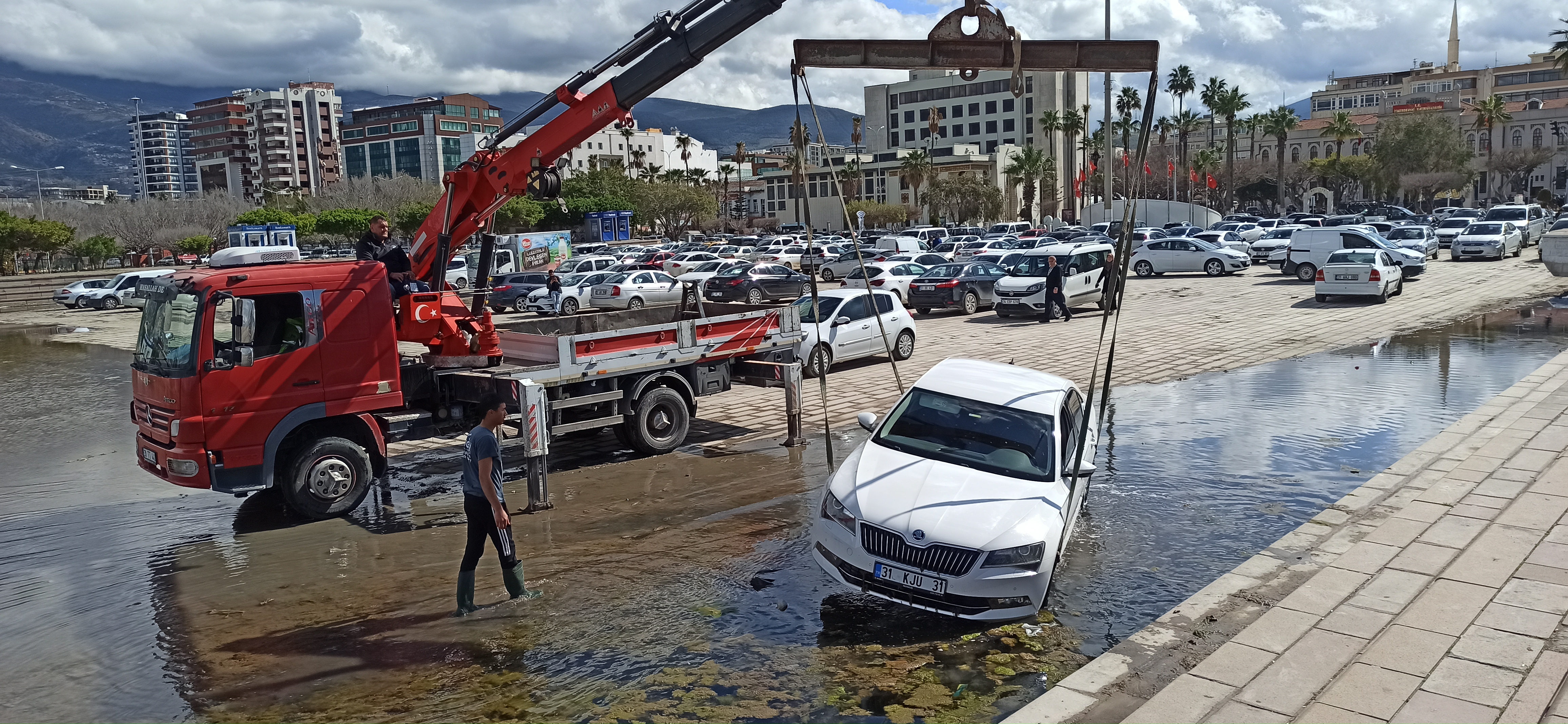 I M G 20240315 144635