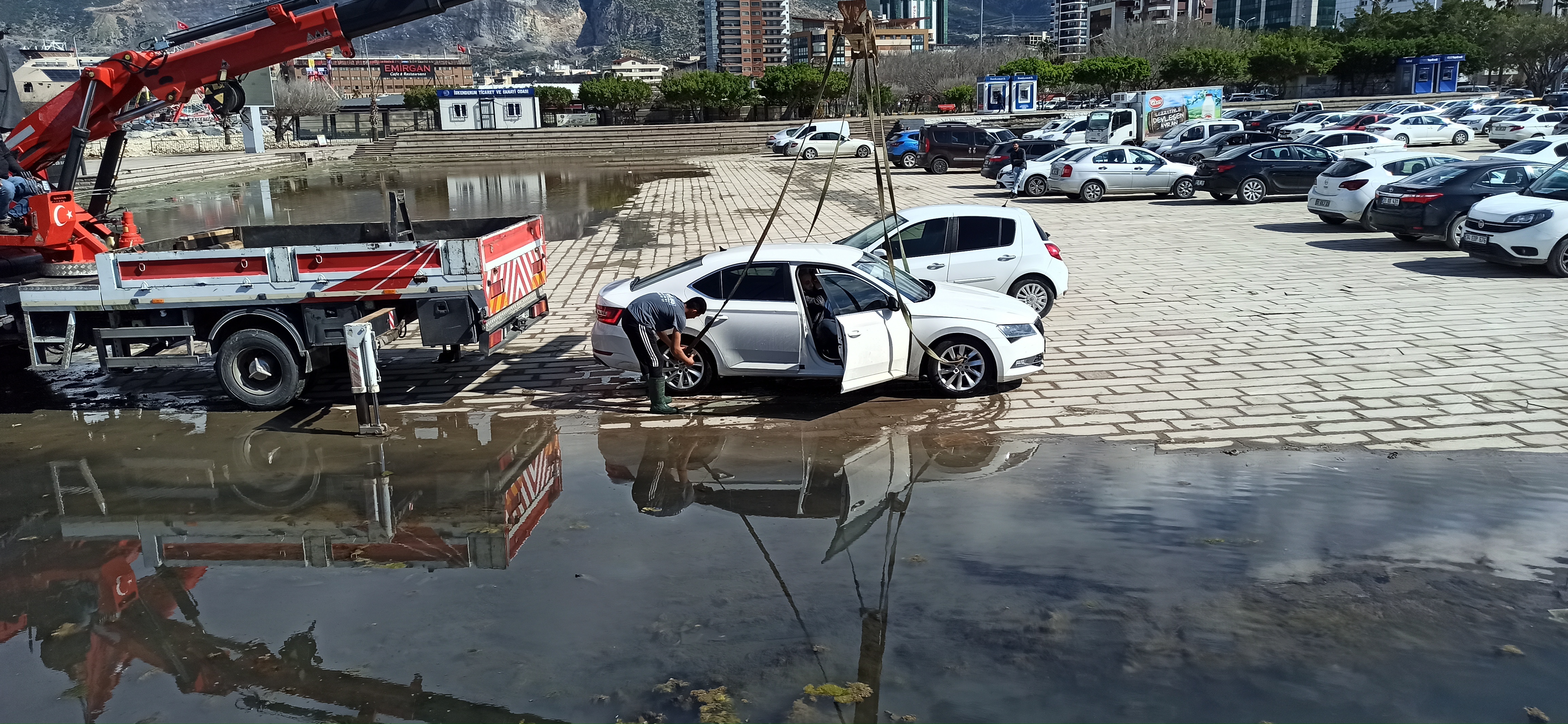 I M G 20240315 144718