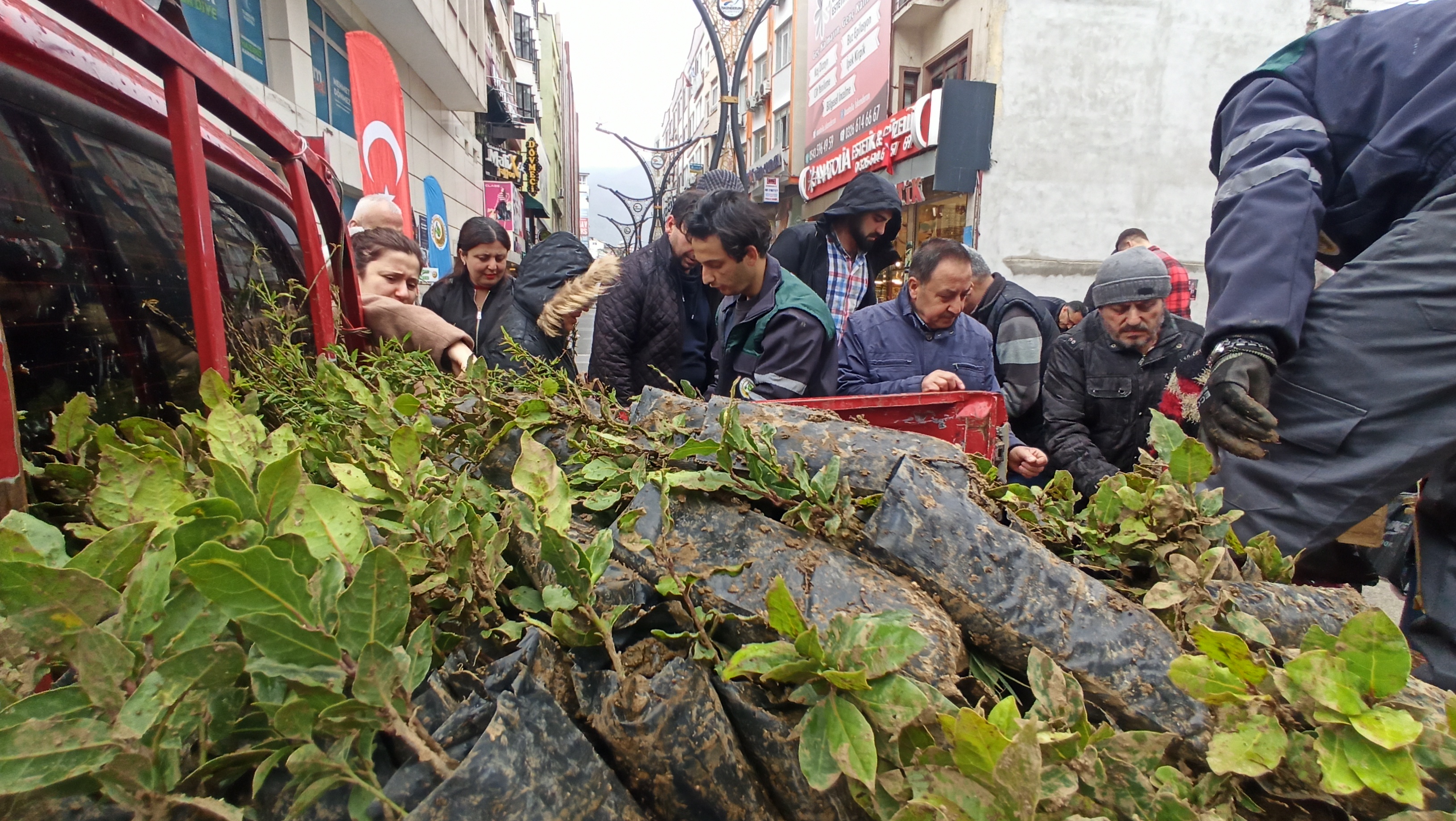 I M G 20240321 104459