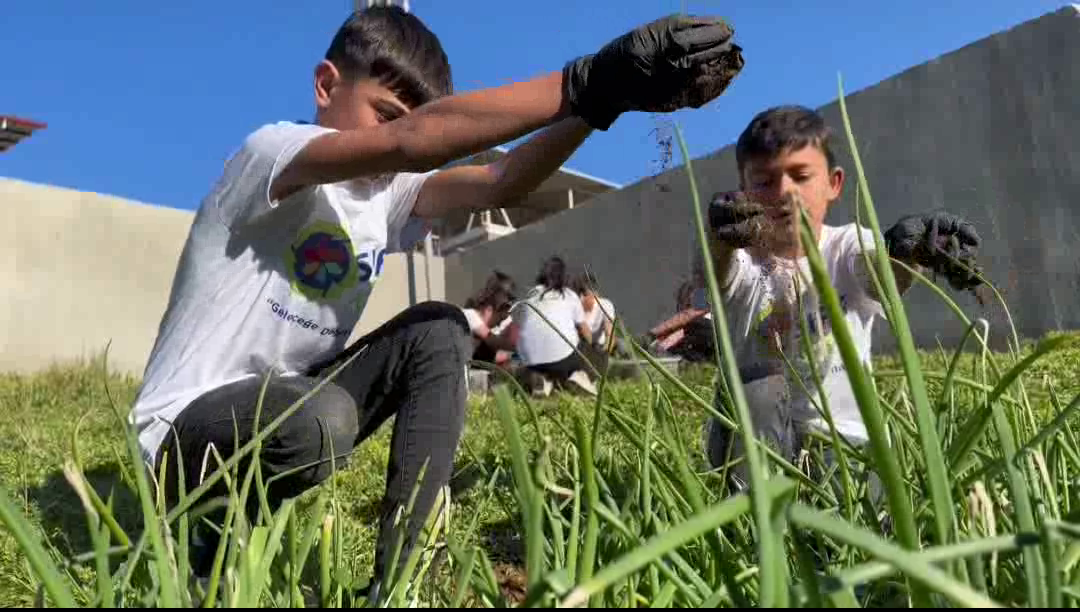 Vlcsnap 2024 03 13 16H20M08S980