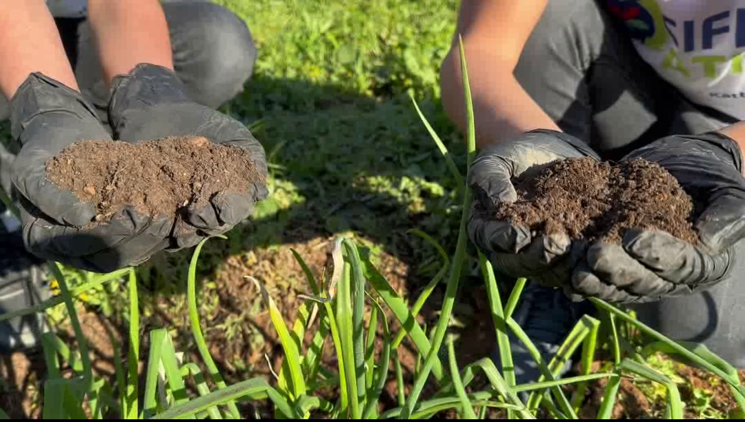 Vlcsnap 2024 03 13 16H21M23S373