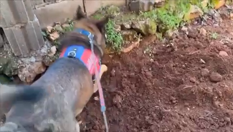 Vlcsnap 2024 03 14 14H04M01S625