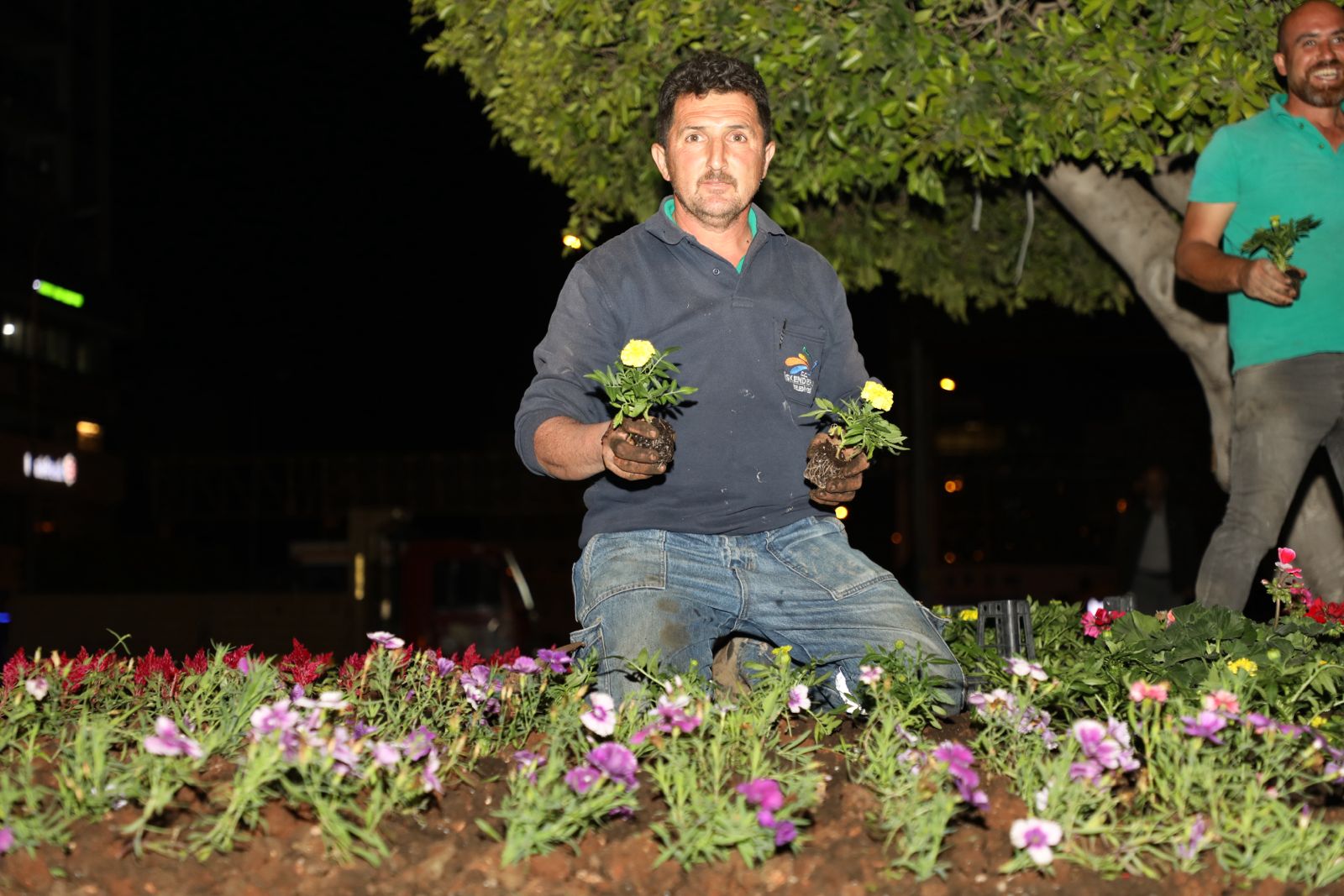 887Eda8A 656D 46B2 8Fc7 4Fb11F1868F0