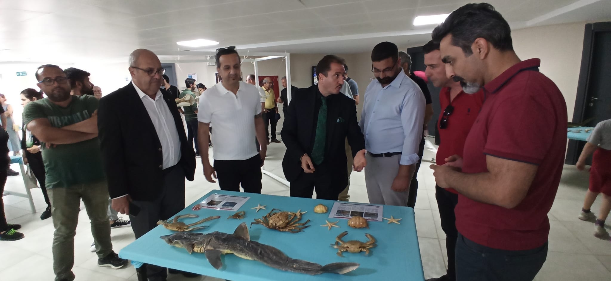 011De962 0408 4E17 93B1 7D7E815213B2