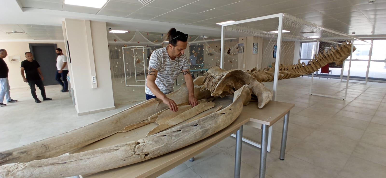 01D4179C 6F35 4Edc A4F8 213444B460A9