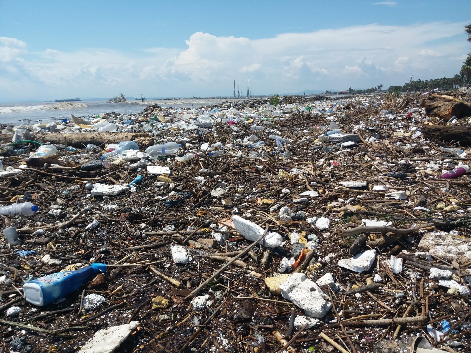 23F109E8 C7F4 4E20 Bacb 1D63C5Dcfbc7