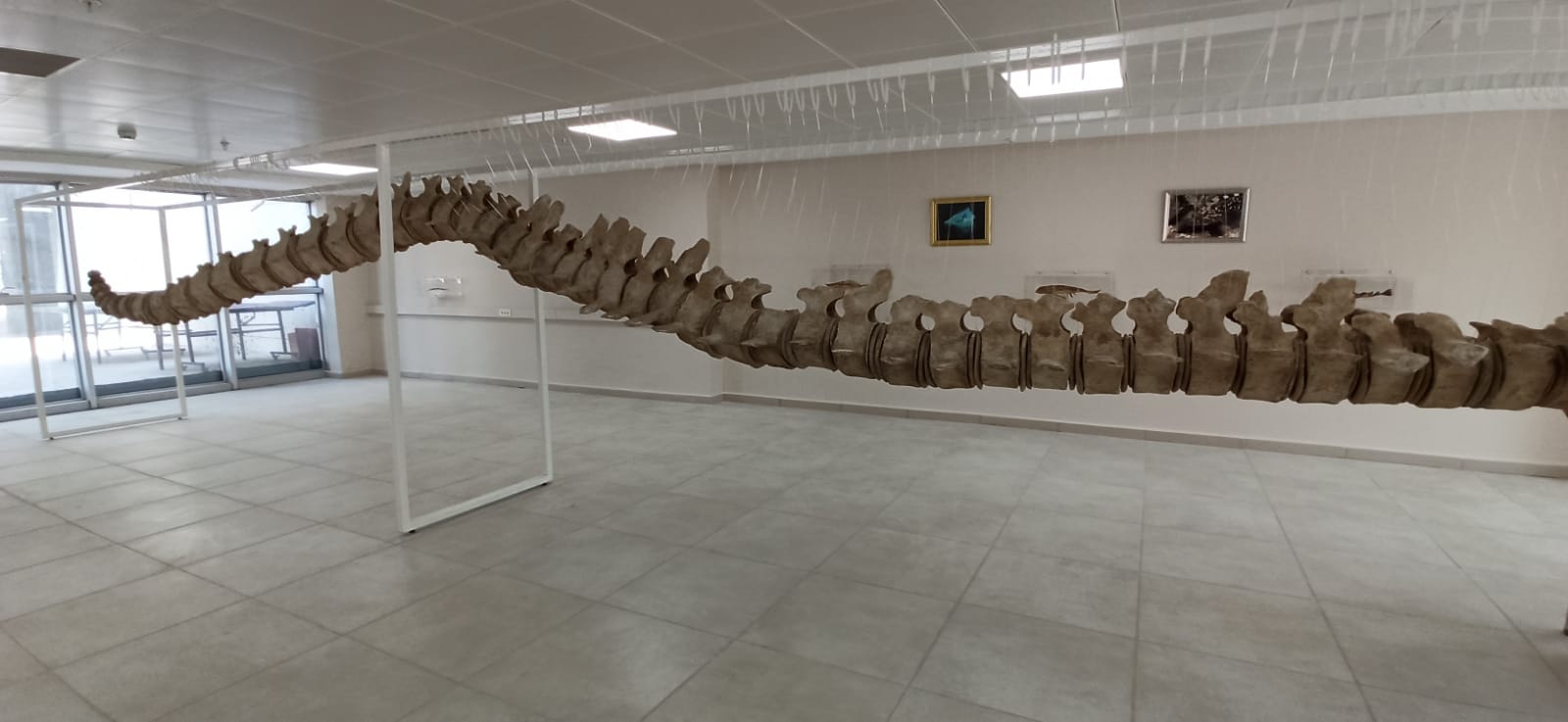 3D22889B 8F7F 4Cab 991F 7Db69E3Bdd66