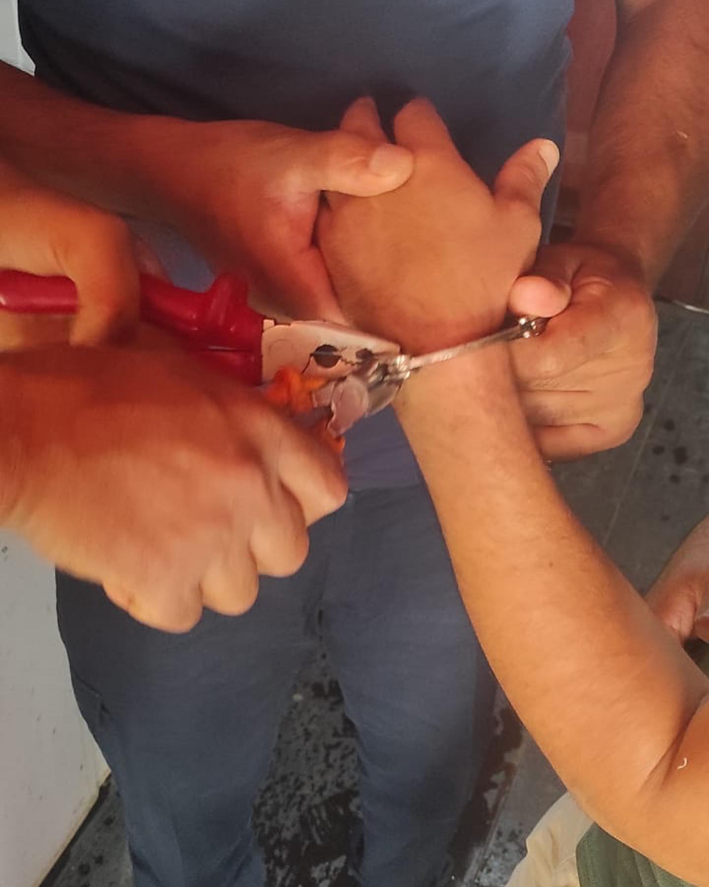 442492304 18234015403302183 6650391085945390657 N