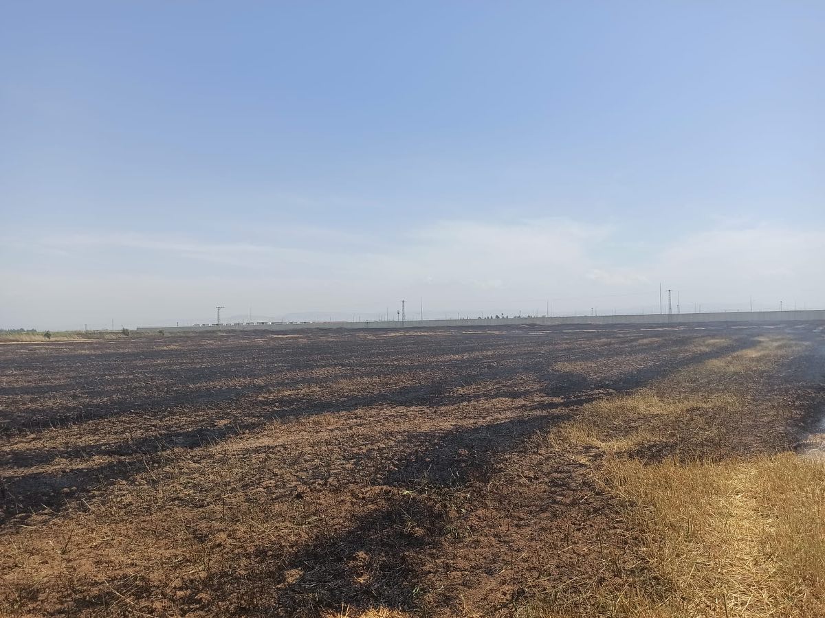 445573814 18234526462302183 1244797908060476607 N